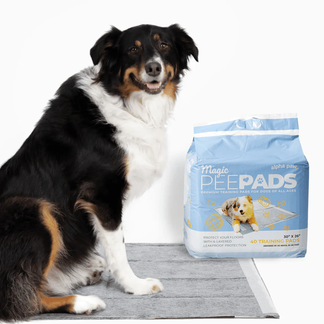 reshPaws Ultra Absorbent Pet Pad | Odor Eliminator and Leak Proof