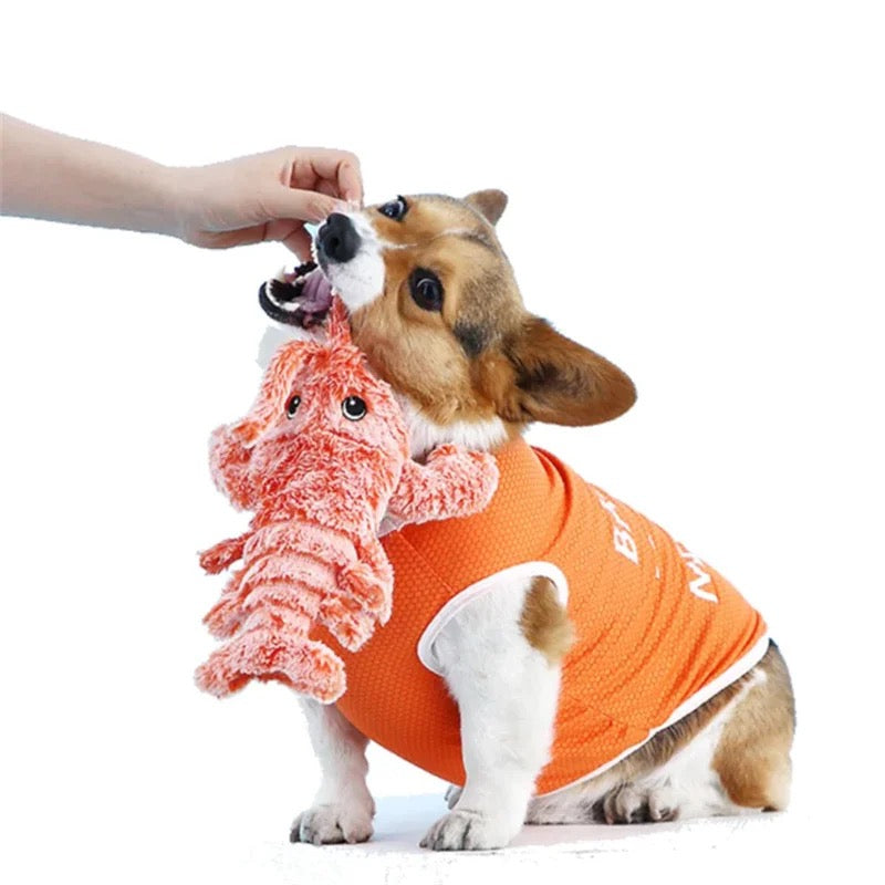 Jumpy Crab- Interdraft Dog Toy
