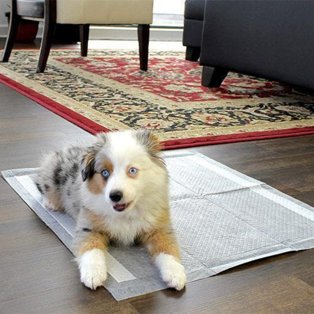 reshPaws Ultra Absorbent Pet Pad | Odor Eliminator and Leak Proof