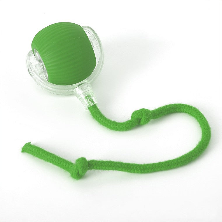 Chase & Bounce Tail Ball for Dogs