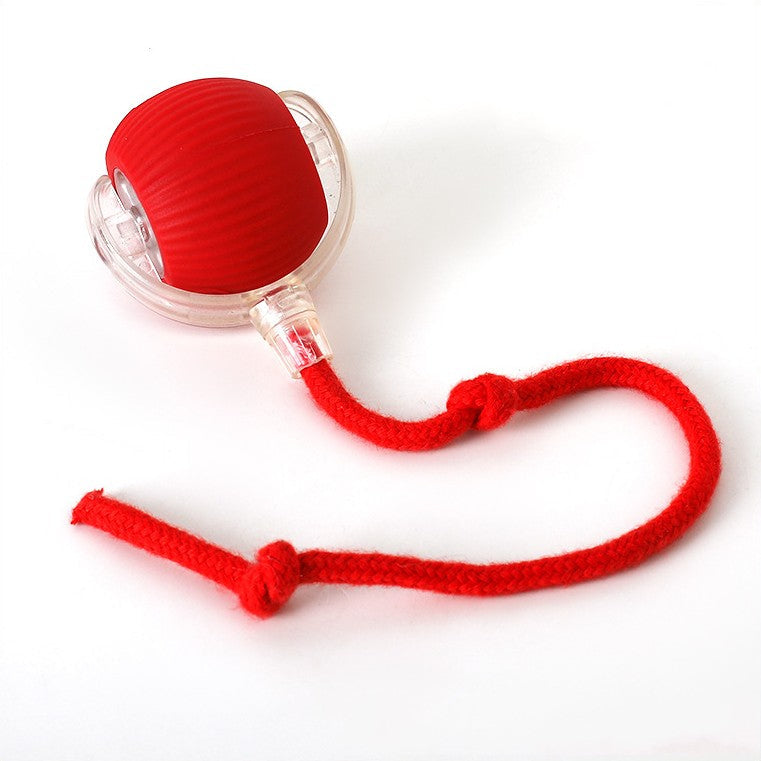 Chase & Bounce Tail Ball for Dogs