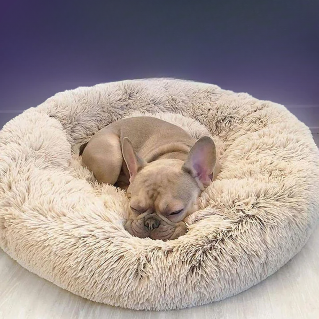 DreamPaws Calming Dog Bed
