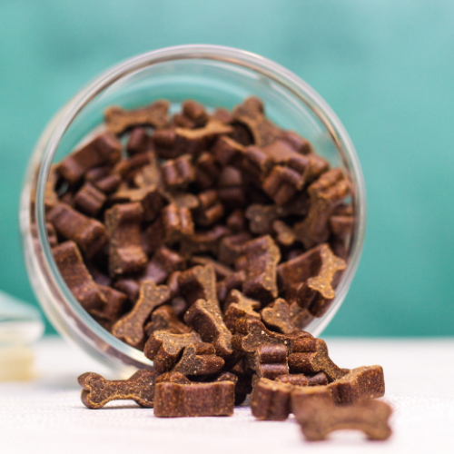 PawTreats DIY Dog Treat Kit