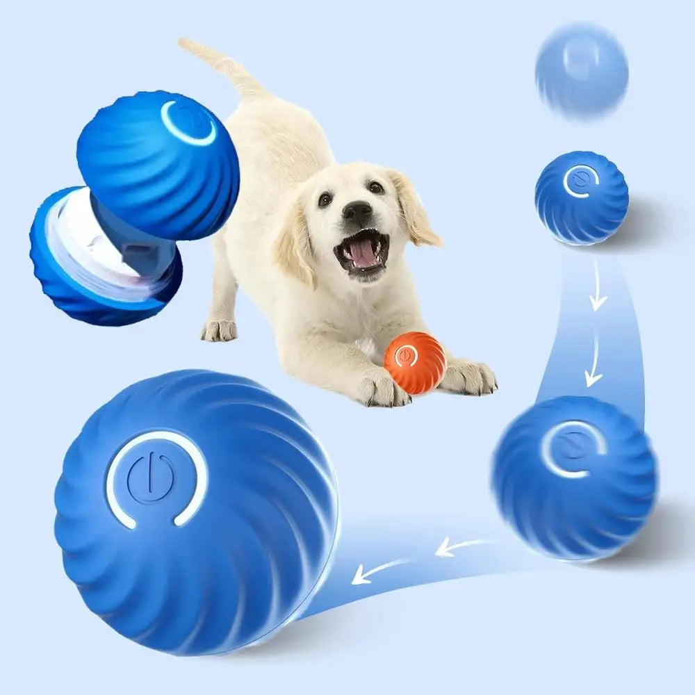 PawPlay - Motion Ball for Dogs