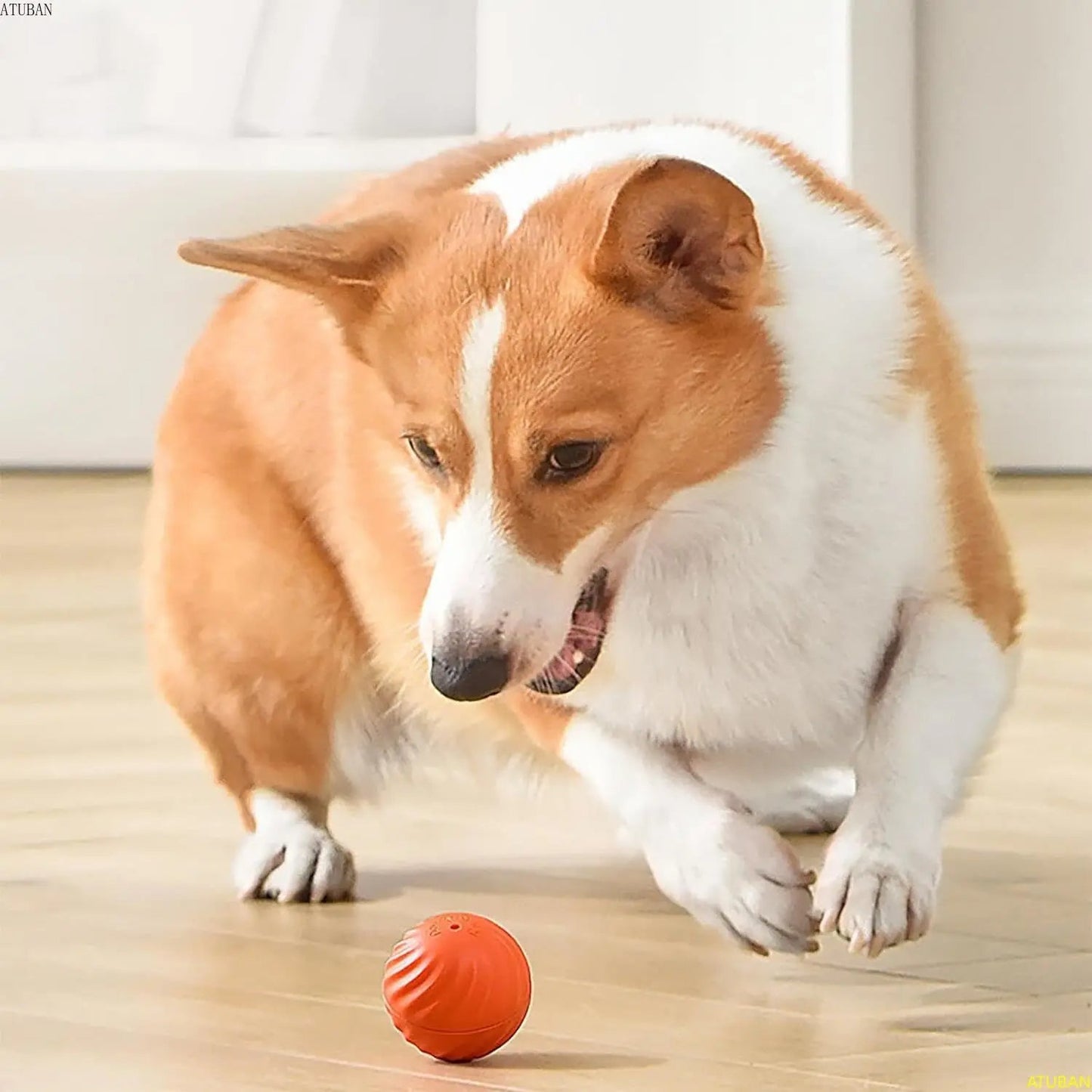 PawPlay - Motion Ball for Dogs