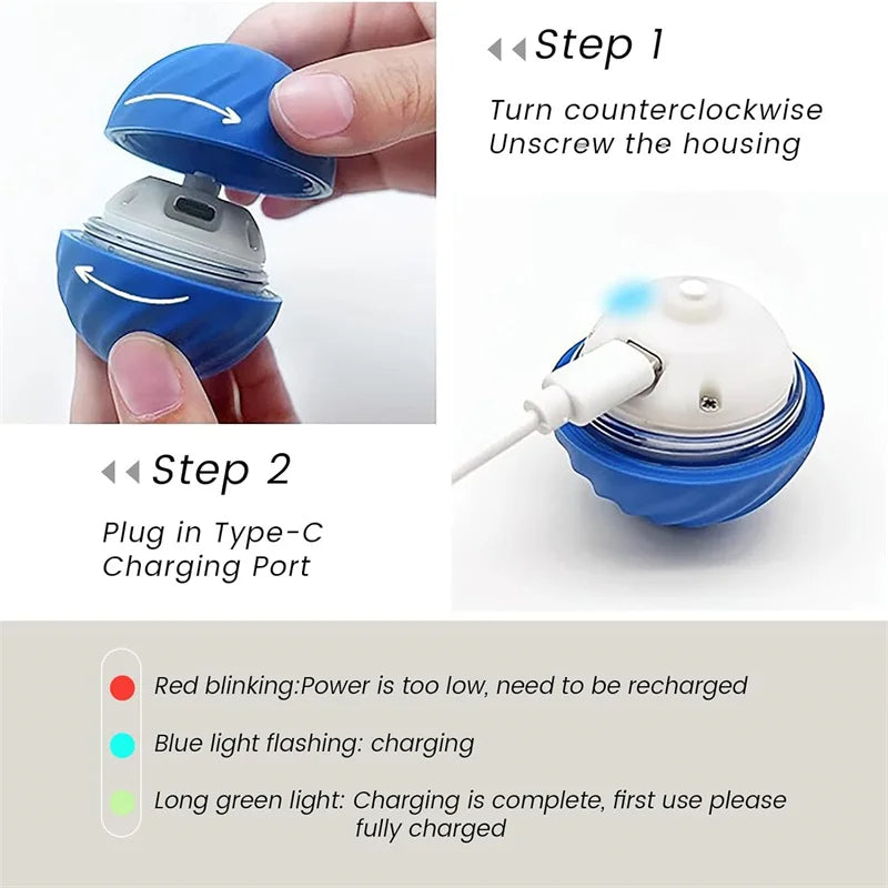 PawPlay - Motion Ball for Dogs
