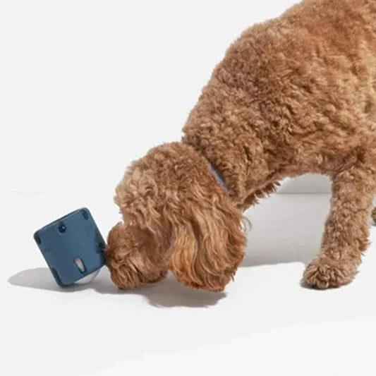 ChewChase - Dynamic Dental Play Toy for Dogs