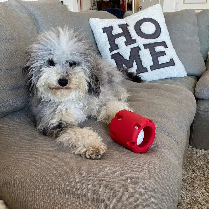ChewChase - Dynamic Dental Play Toy for Dogs