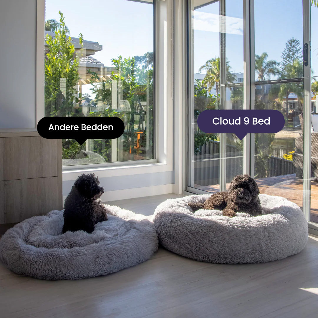 DreamPaws Calming Dog Bed