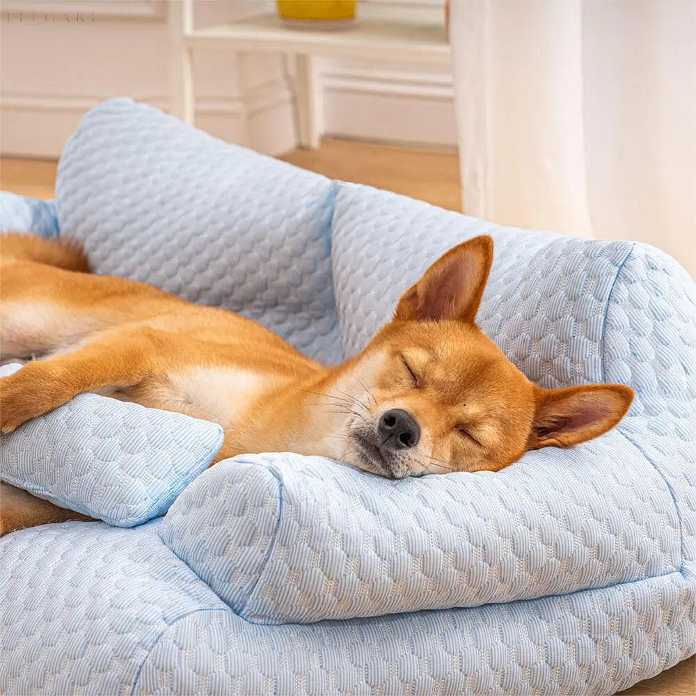 Cushion Pet Bed - Washable and Non Slip Bottom