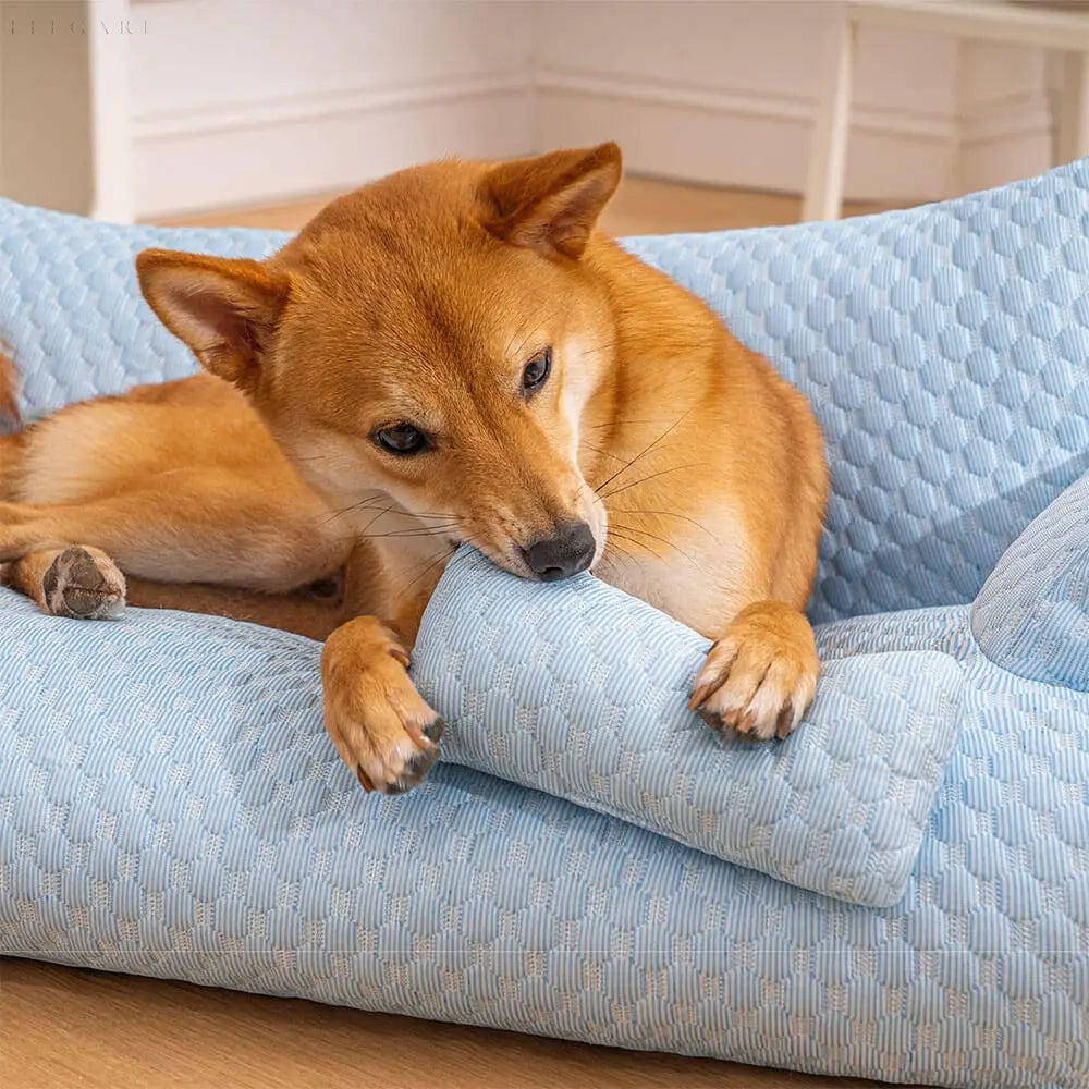 Cushion Pet Bed - Washable and Non Slip Bottom