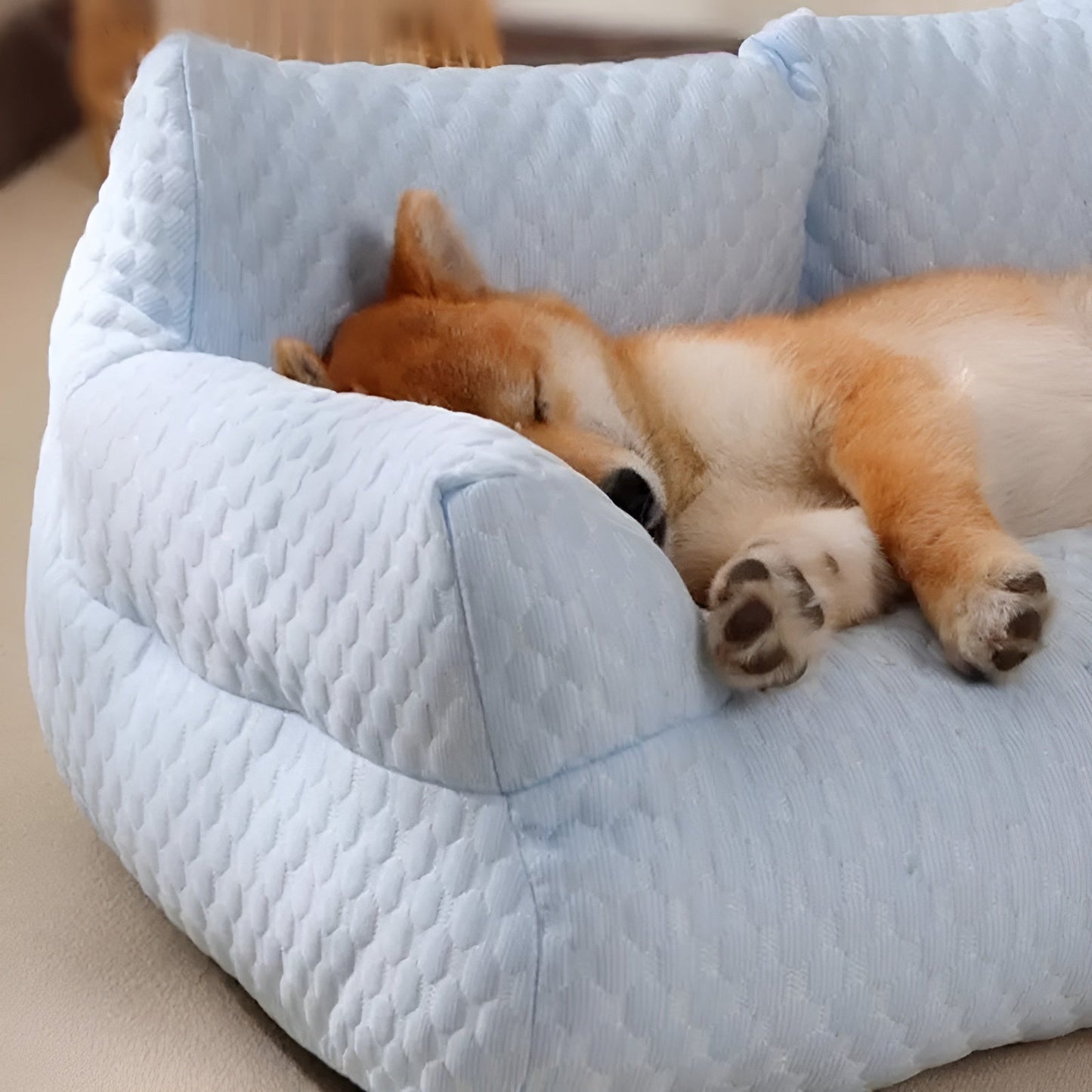 Cushion Pet Bed - Washable and Non Slip Bottom