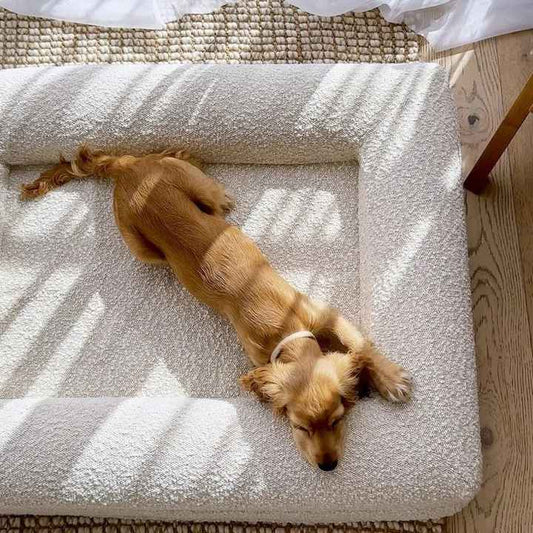 Washable Luxury Waterproof Dog Bed