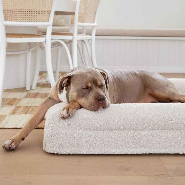 Washable Luxury Waterproof Dog Bed