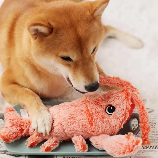 Jumpy Crab- Interdraft Dog Toy