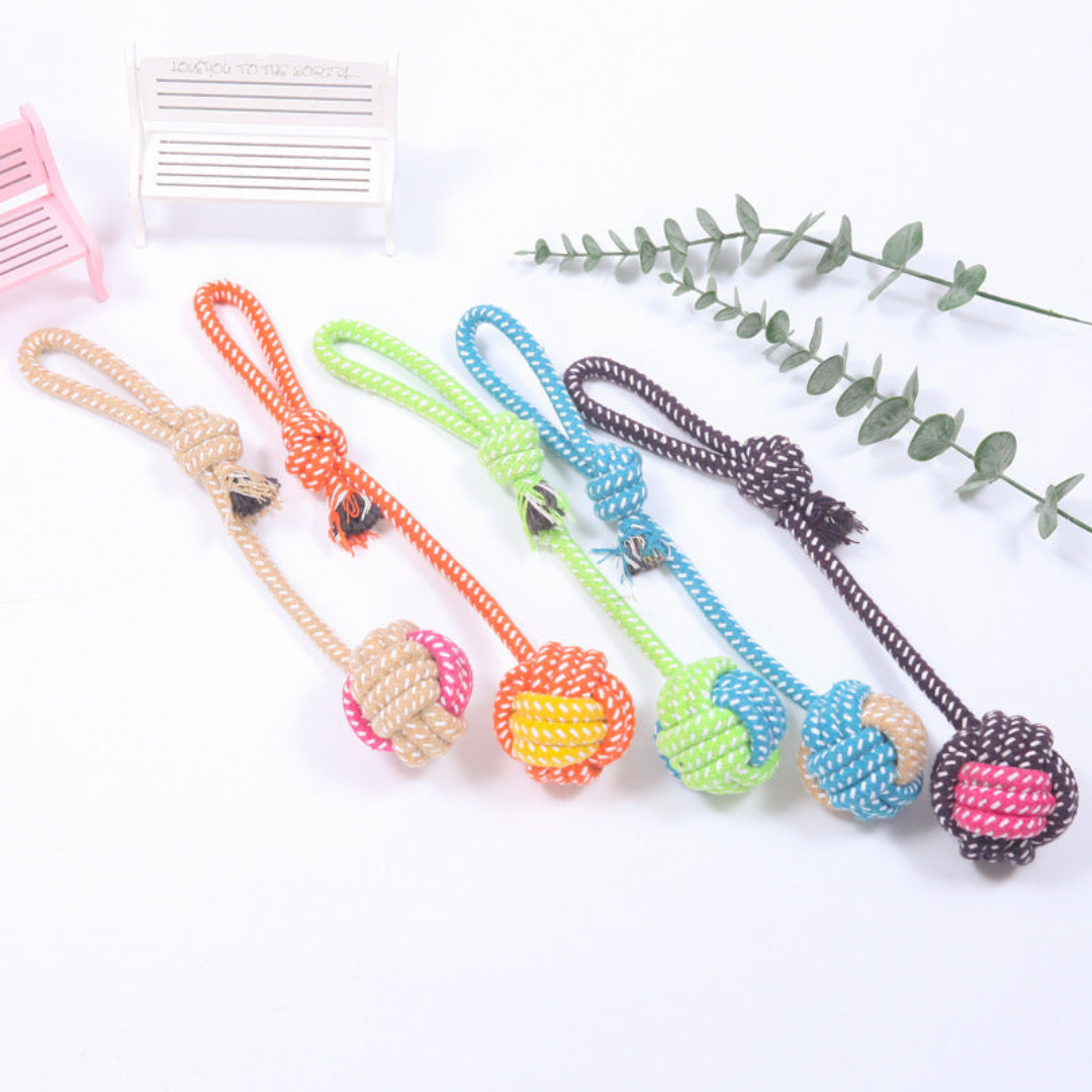 ToughPaws- Robust Cotton Chew Toy Set