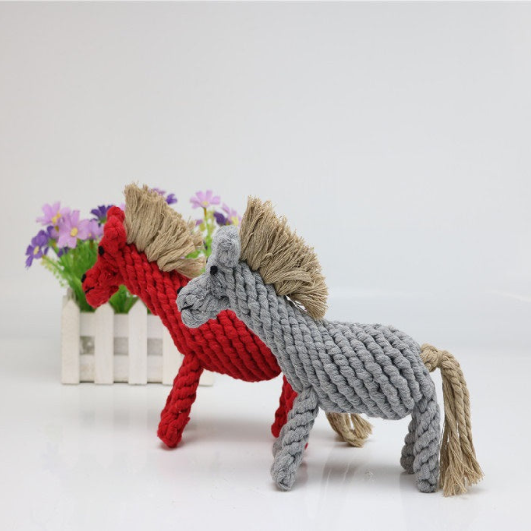 ToughPaws- Robust Cotton Chew Toy Set