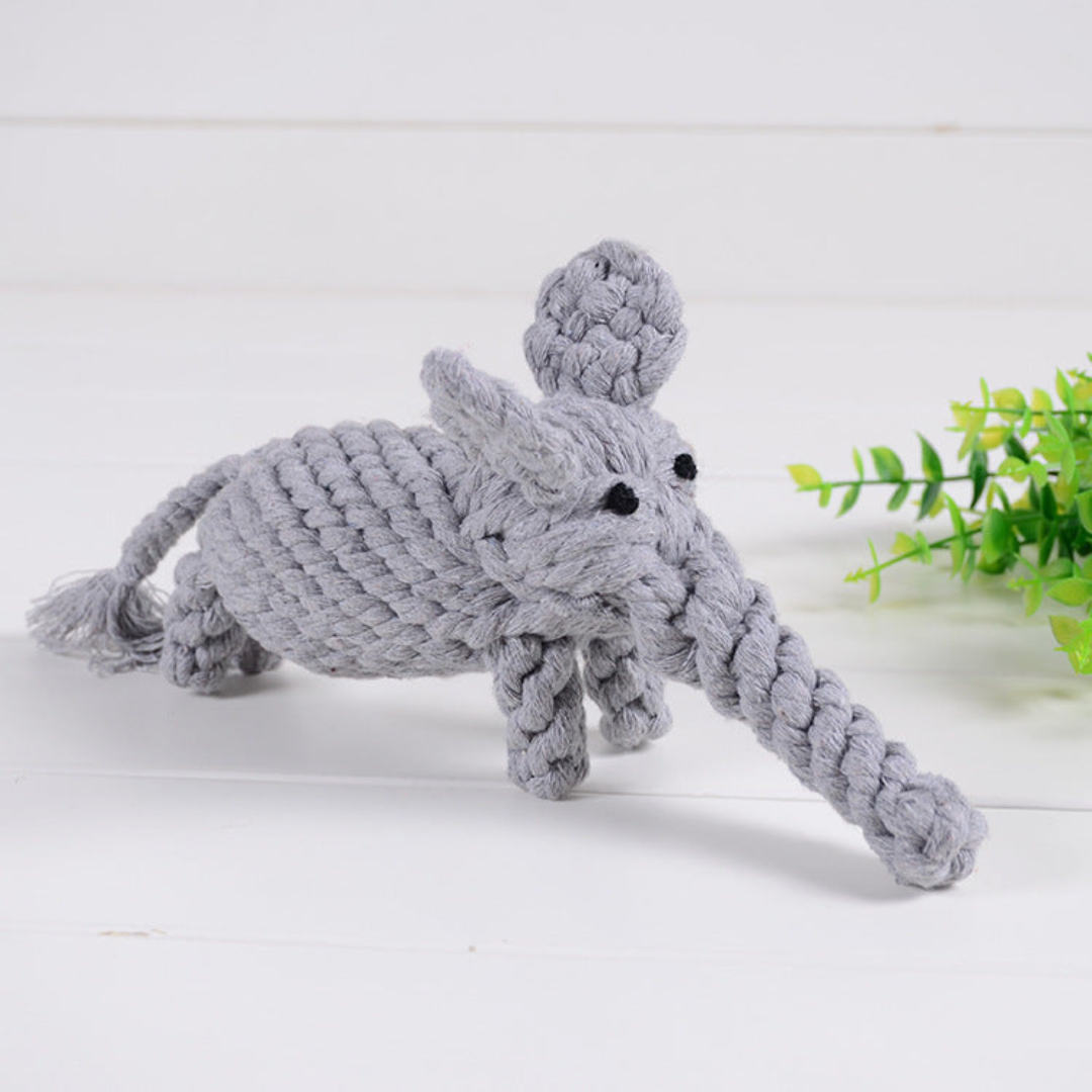 ToughPaws- Robust Cotton Chew Toy Set