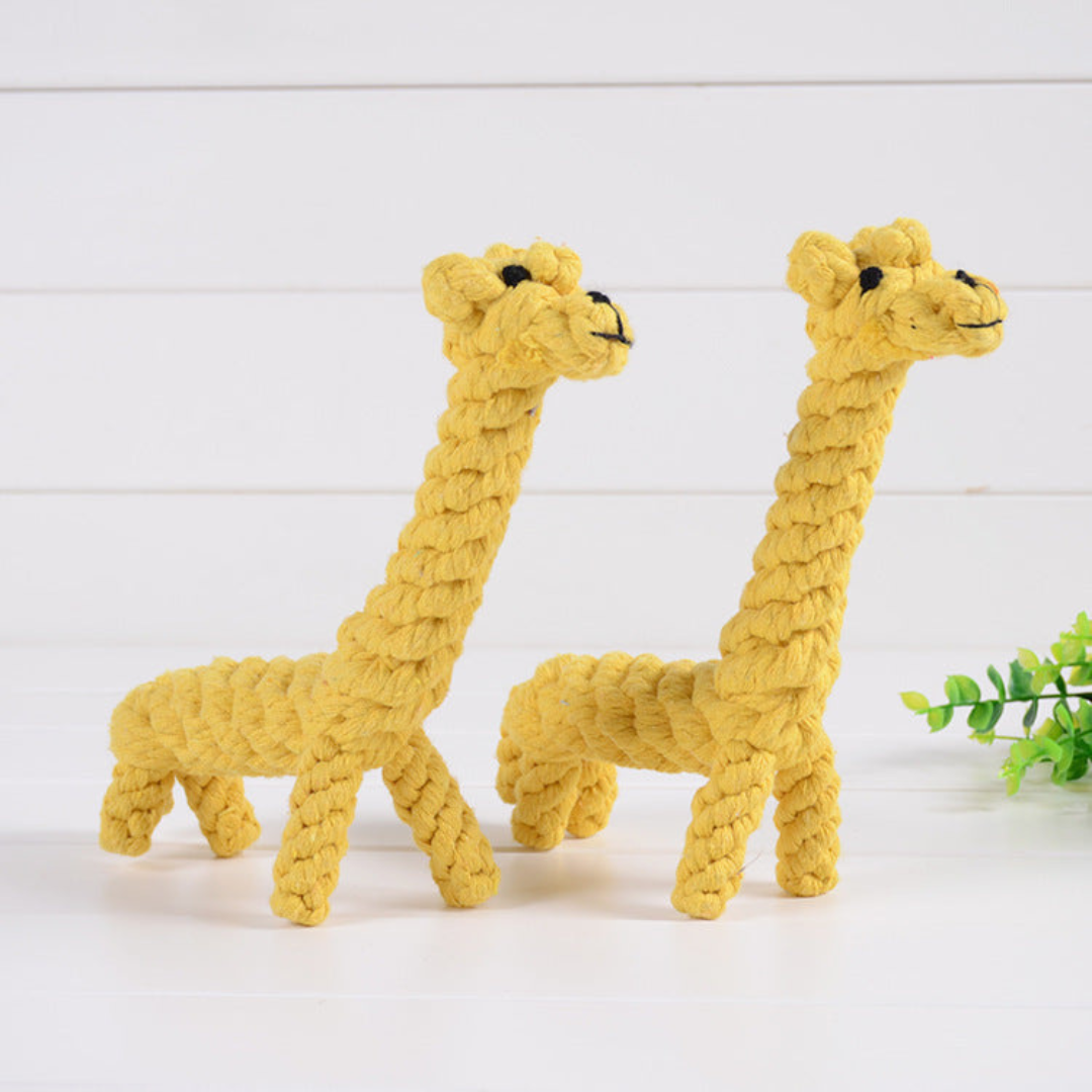 ToughPaws- Robust Cotton Chew Toy Set