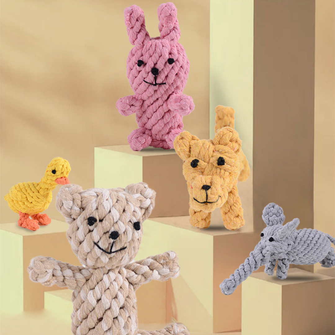 ToughPaws- Robust Cotton Chew Toy Set