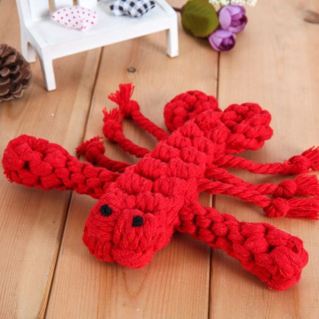 ToughPaws- Robust Cotton Chew Toy Set