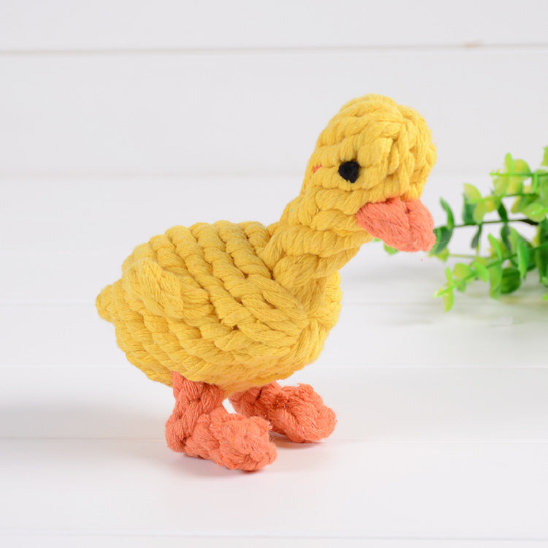 ToughPaws- Robust Cotton Chew Toy Set