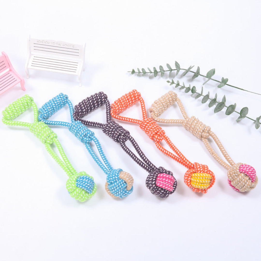 ToughPaws- Robust Cotton Chew Toy Set