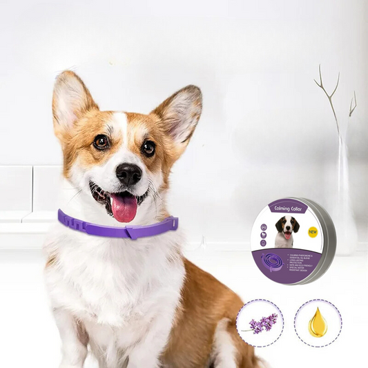 SereniPaws - Pheromone Calming Collar for Dogs and Cats