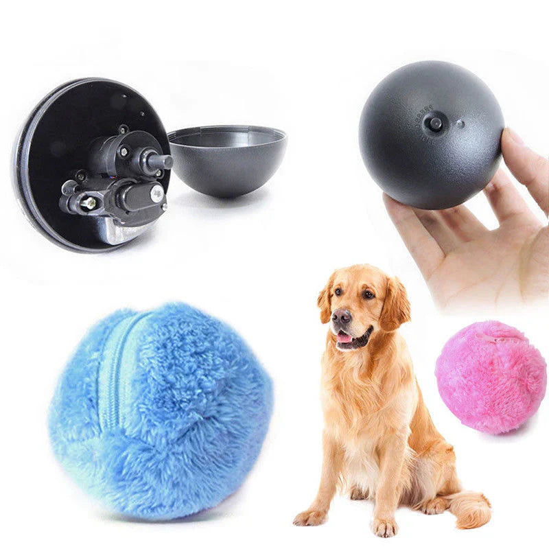 ZoomPaw - nteractive Rolling Ball