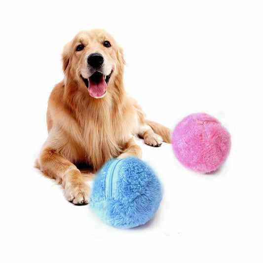 ZoomPaw - nteractive Rolling Ball