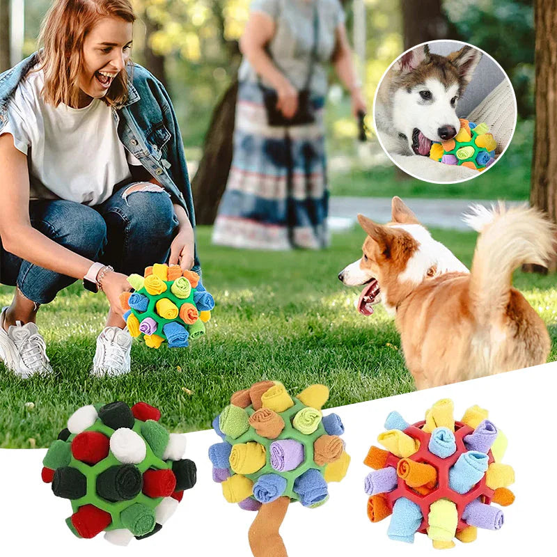 SniffSphere - Hide & Seek Ball