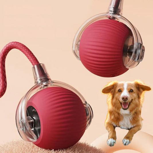 Chase & Bounce Tail Ball for Dogs