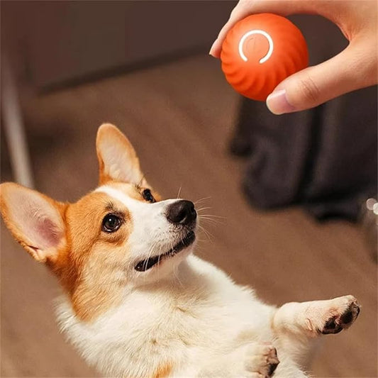 PawPlay - Motion Ball for Dogs